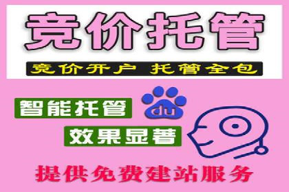 谷歌SEM与SEO结合：某品牌关键词排名快速提升案例